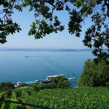 Weitsicht * Meersburg